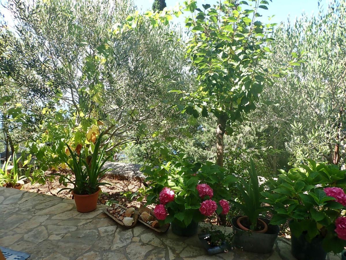 Studio Mare -30 M From A Lonely Beach Barić Draga المظهر الخارجي الصورة