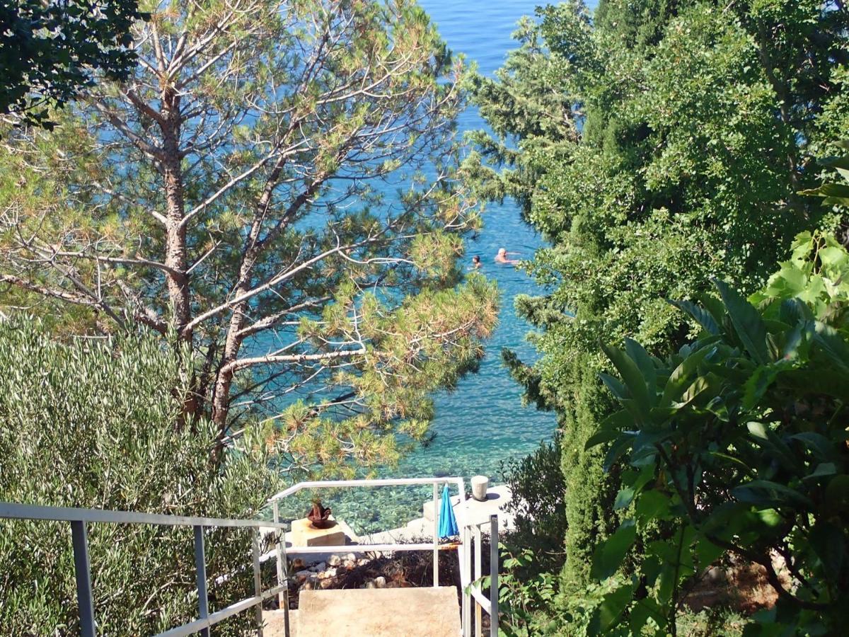 Studio Mare -30 M From A Lonely Beach Barić Draga المظهر الخارجي الصورة